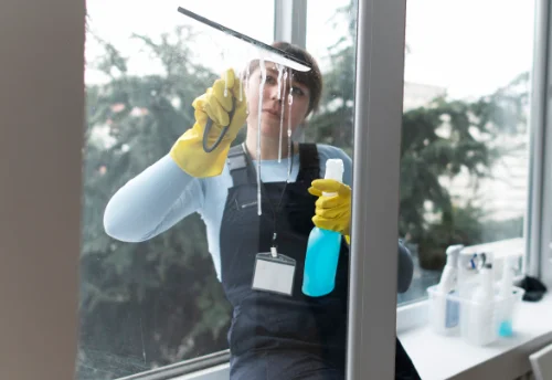 Nettoyage de vitres intérieures et extérieures à Choisel